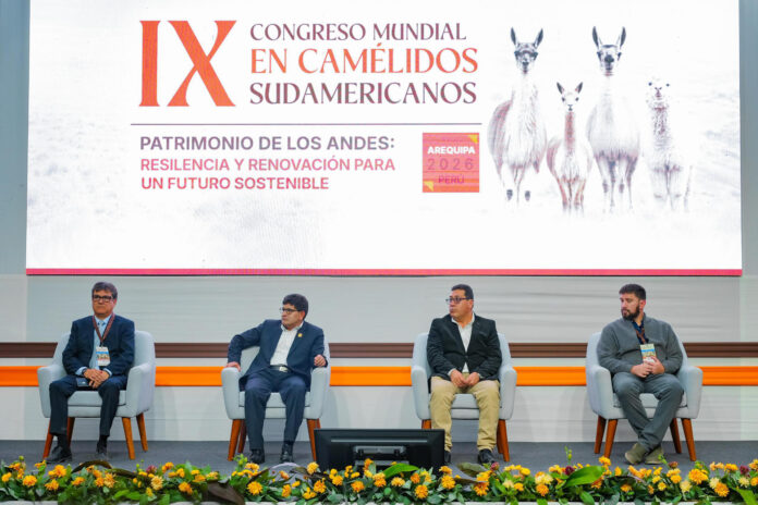 Fotografía cedida por el Gobierno Regional de Arequipa que muestra al director de Desarrollo Ganadero del Ministerio de Desarrollo Agrario y Riego, Víctor Rodríguez (i); el gobernador de Arequipa, Rohel Sánchez (c-i); el ministro de Desarrollo Agrario y Riego, Felipe Meza (c-d); y el presidente del Consejo Directivo de la Asociación Civil Alpaca del Perú (Ascalpe), Andrés Chaves Cuzzi, durante la inauguración del IX Congreso Mundial de Camélidos Sudamericanos este martes, en Arequipa (Perú). EFE/ Gobierno Regional de Arequipa
