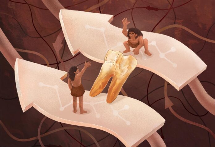 Ilustración que muestra que la variante AMBN es el 