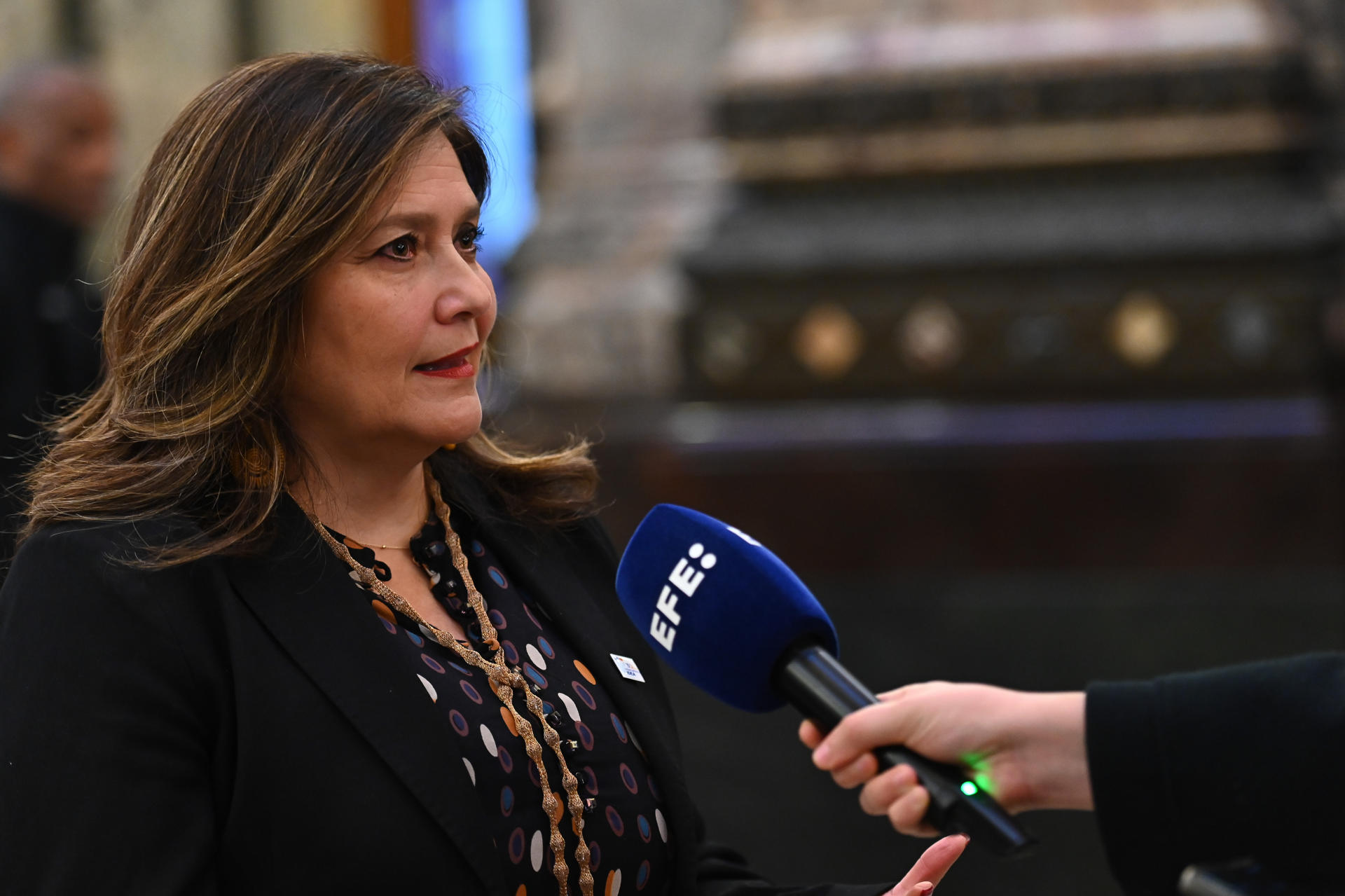 La gerente regional de IDEA Internacional, Alejandra Sepúlveda, habla durante una entrevista con EFE este miércoles, en Montevideo (Uruguay). EFE/ Federico Gutiérrez
