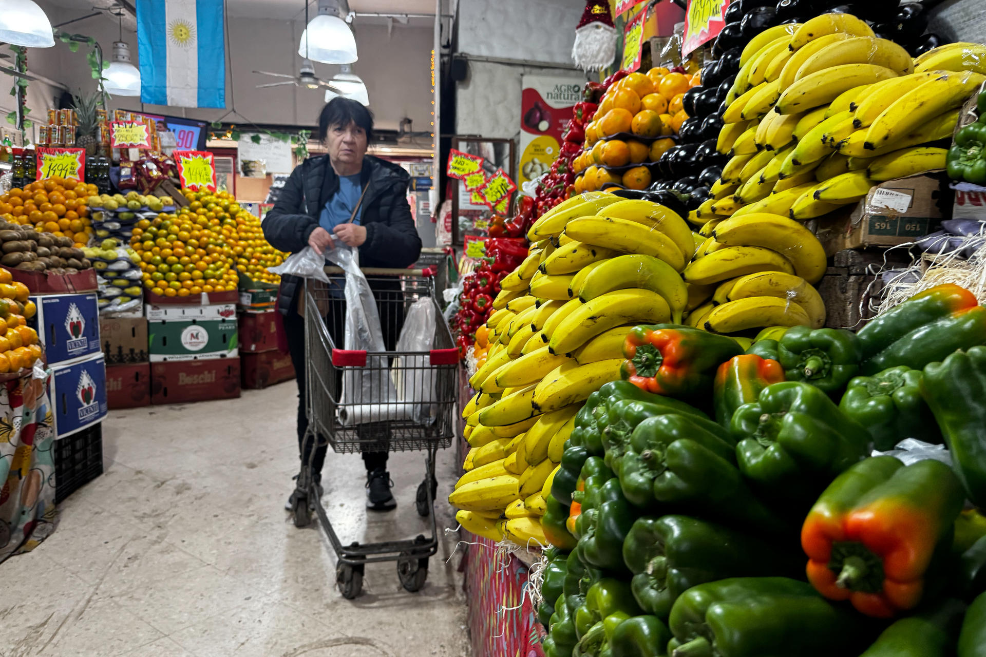 Una persona compra productos en una tienda este jueves, en Buenos Aires (Argentina). EFE/ Juan Ignacio Roncoroni

