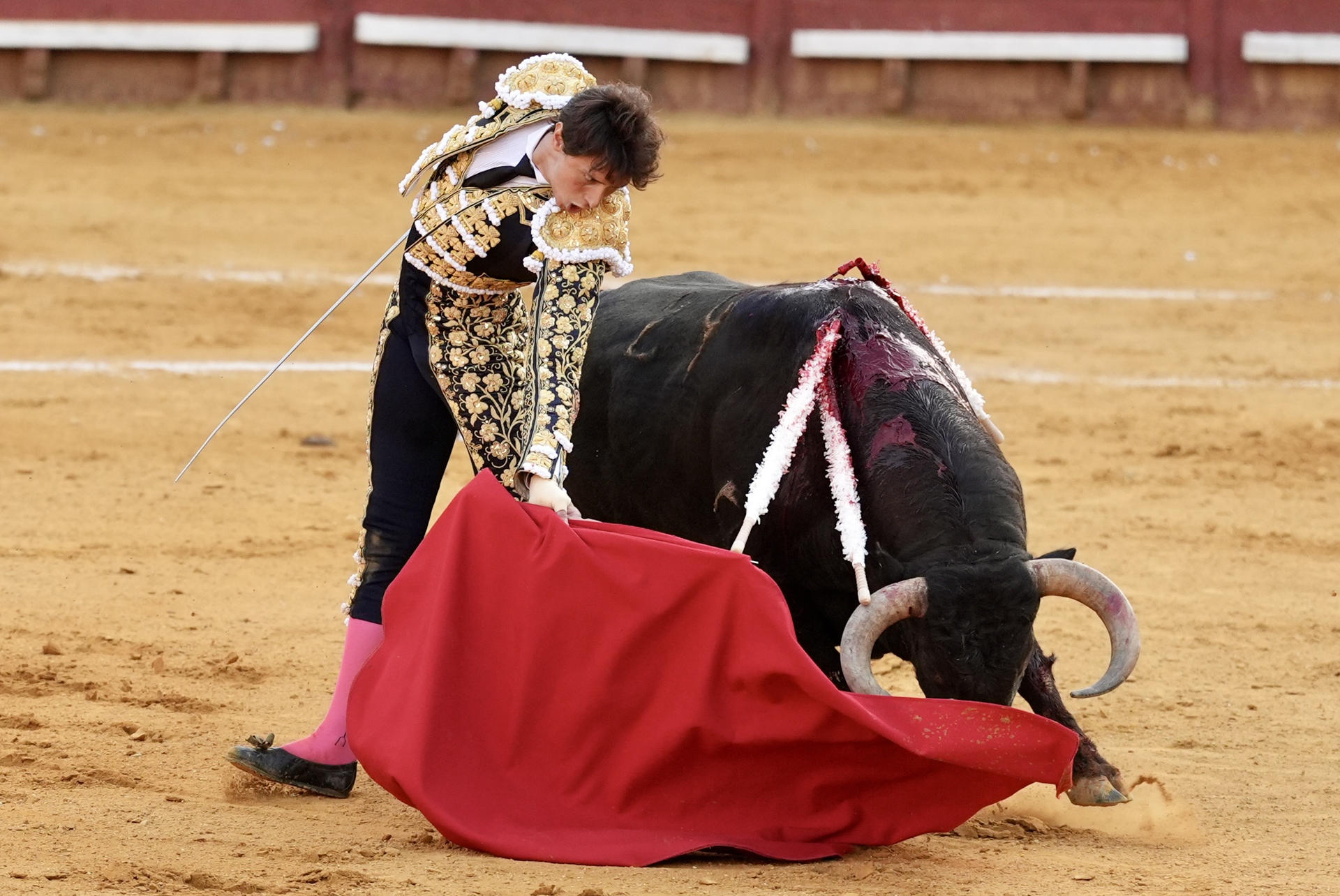 El diestro Roca Rey con su primer toro durante el segundo festejo de la Feria del Caballo de Jerez. EFE/Román Ríos.
