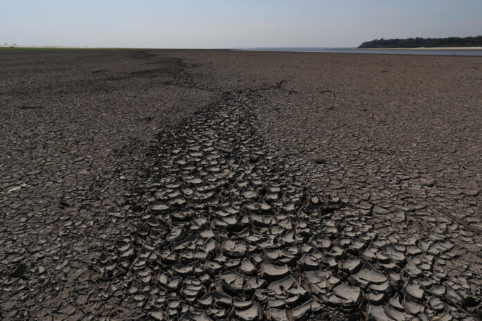 Fotografía de archivo del 28 de octubre de 2023 donde se muestra una zona de río Negro afectada por una sequía en el estado de Amazonas (Brasil). EFE/ André Coelho
