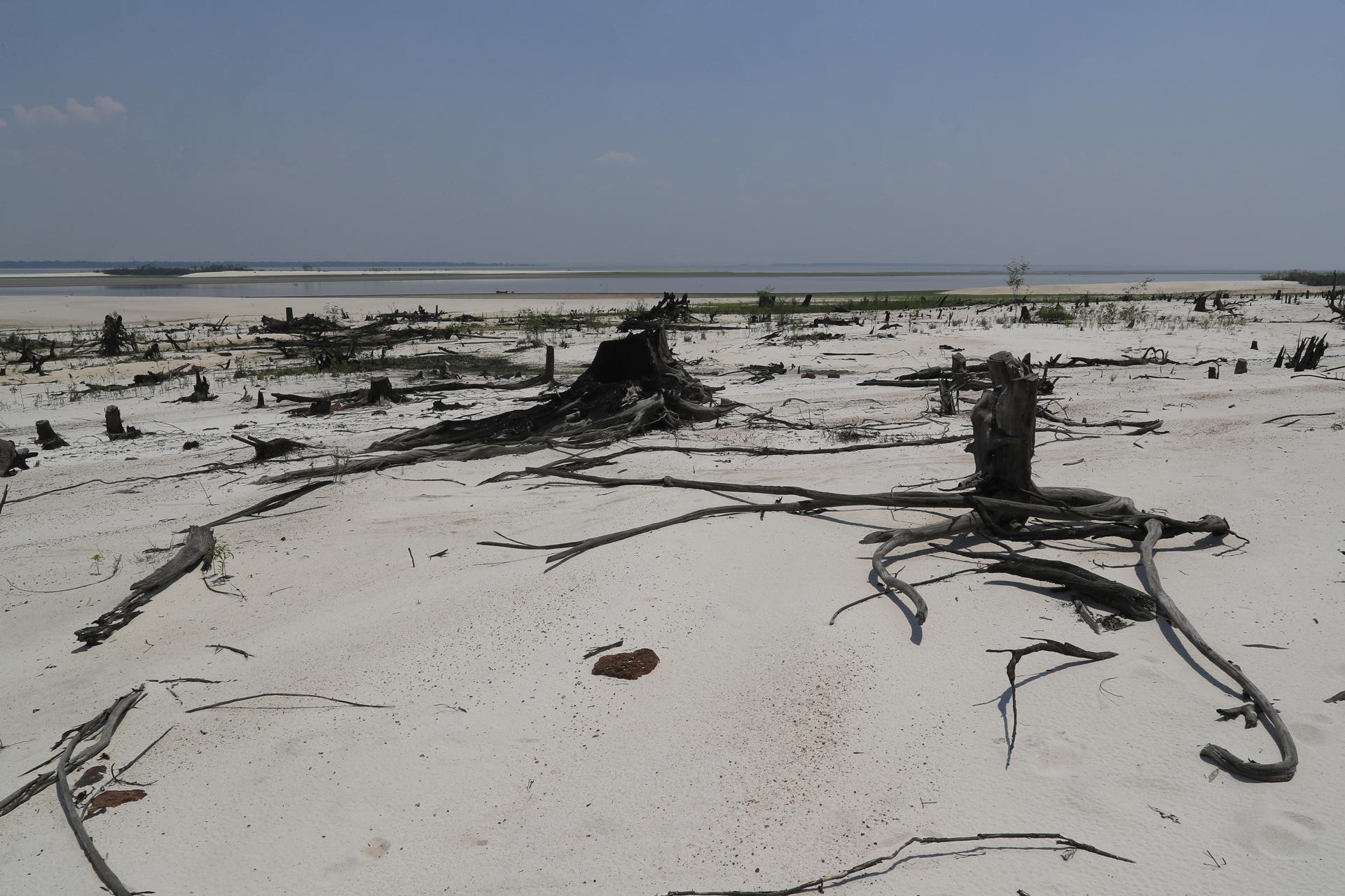 Fotografía de archivo del 28 de octubre de 2023 donde se muestra una zona de río Negro afectada por una sequía en el estado de Amazonas (Brasil). EFE/ André Coelho