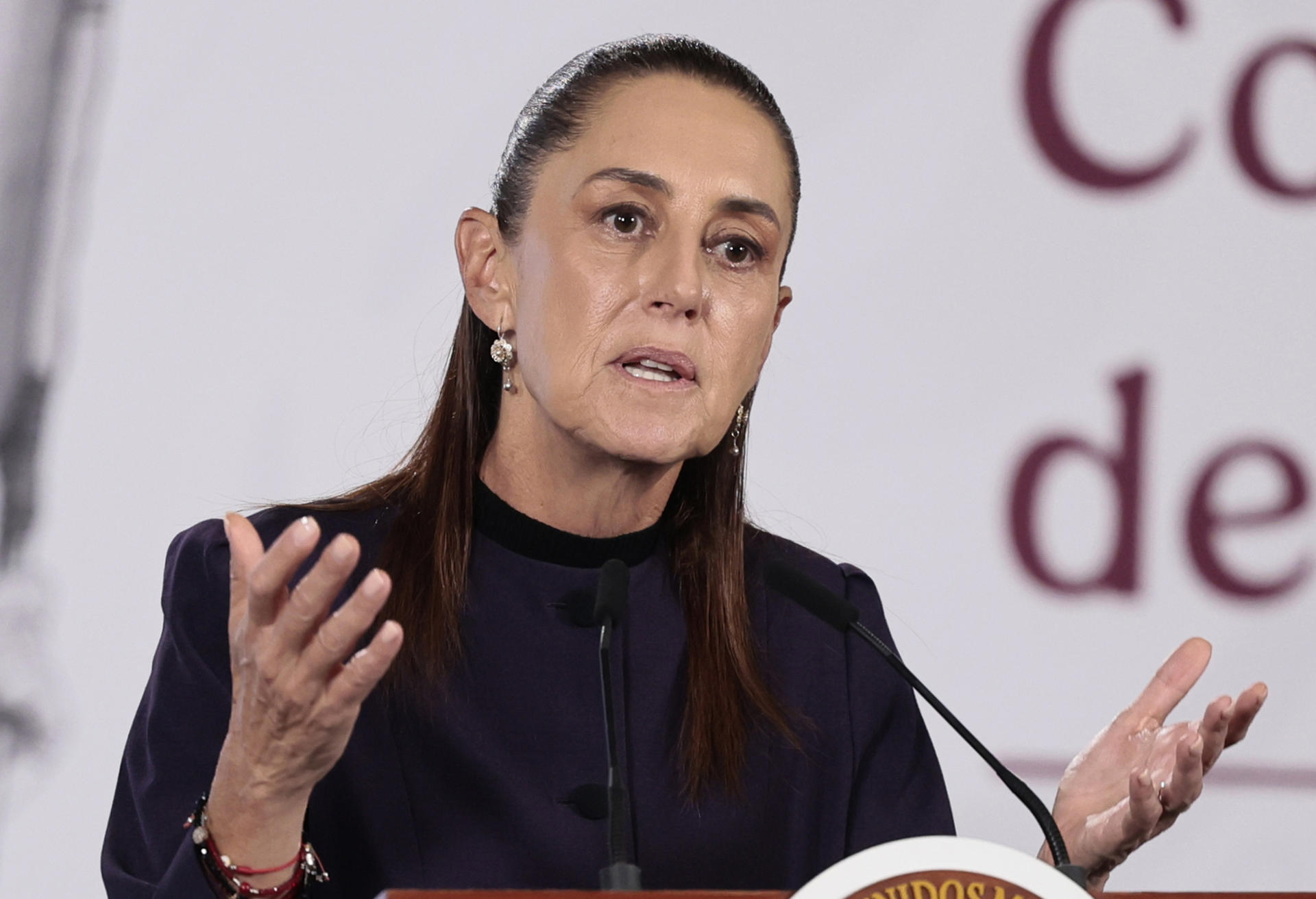La presidenta de México, Claudia Sheinbaum, habla durante una rueda de prensa este lunes en el Palacio Nacional de la Ciudad de México (México). EFE/José Méndez
