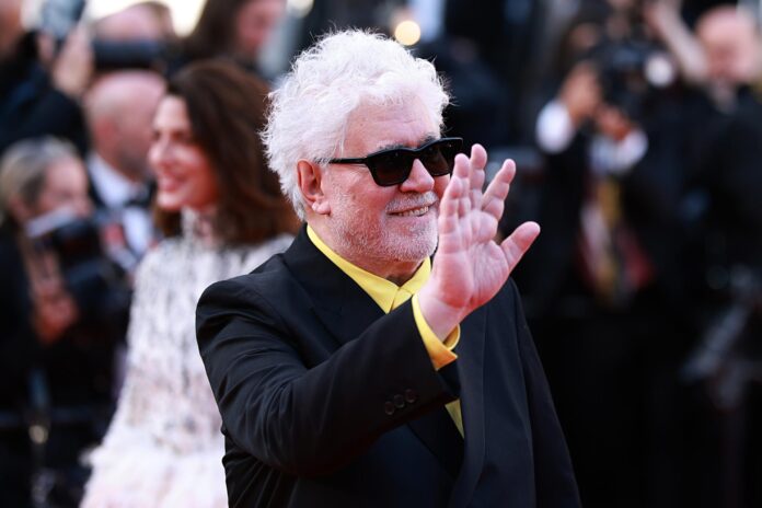El director Pedro Almodóvar asiste al estreno de 'Amarga Navidad' durante el 79º Festival de Cine de Cannes, en Cannes, Francia, el 19 de mayo de 2026. El festival se celebra del 12 al 23 de mayo de 2026.(Cine, Francia) EFE/EPA/CLEMENS BILAN
