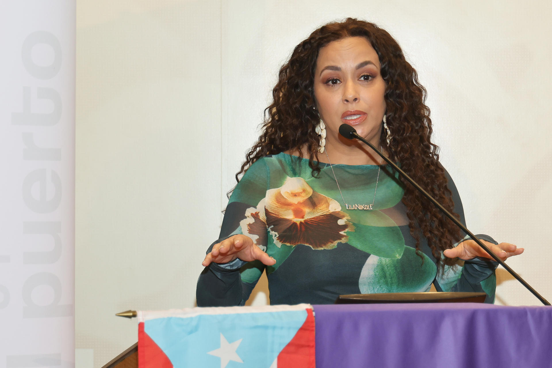 Fotografía cedida por el Desfile Nacional Puertorriqueño (NPRDP) que muestra a la diseñadora Lila Nikole hablando durante una rueda de prensa este martes, en Nueva York (EE.UU.). EFE/ Vincent Villafañe/ NPRD/ SOLO USO EDITORIAL/ NO VENTAS/ SOLO DISPONIBLE PARA ILUSTRAR LA NOTICIA QUE ACOMPAÑA (CRÉDITO OBLIGATORIO)
