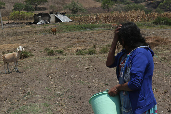 La señora Anastasia reacciona durante una entrevista con EFE este lunes, desde la zona donde se suscitaron enfrentamientos el pasado 11 de mayo en Chilapa, estado de Guerrero (México). EFE/ José Luis De La Cruz

