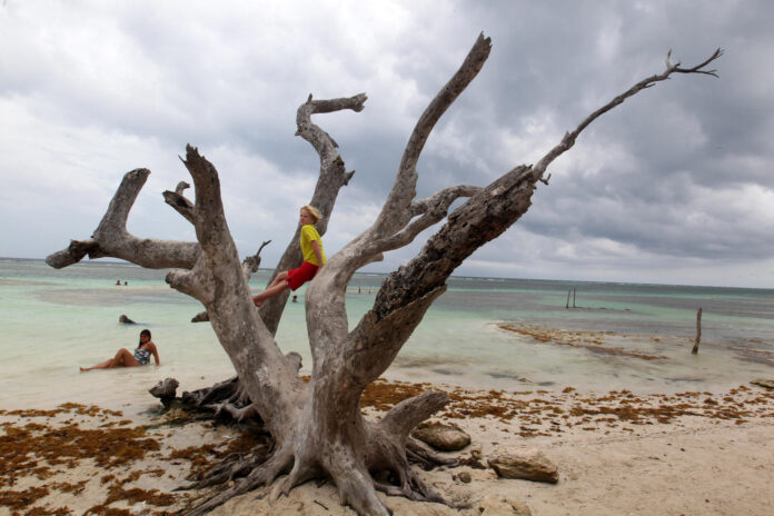 Fotografía de archivo que muestra a turistas en playas de mahahual en el estado de Quintana Roo, (México). EFE/Alonso Cupul
