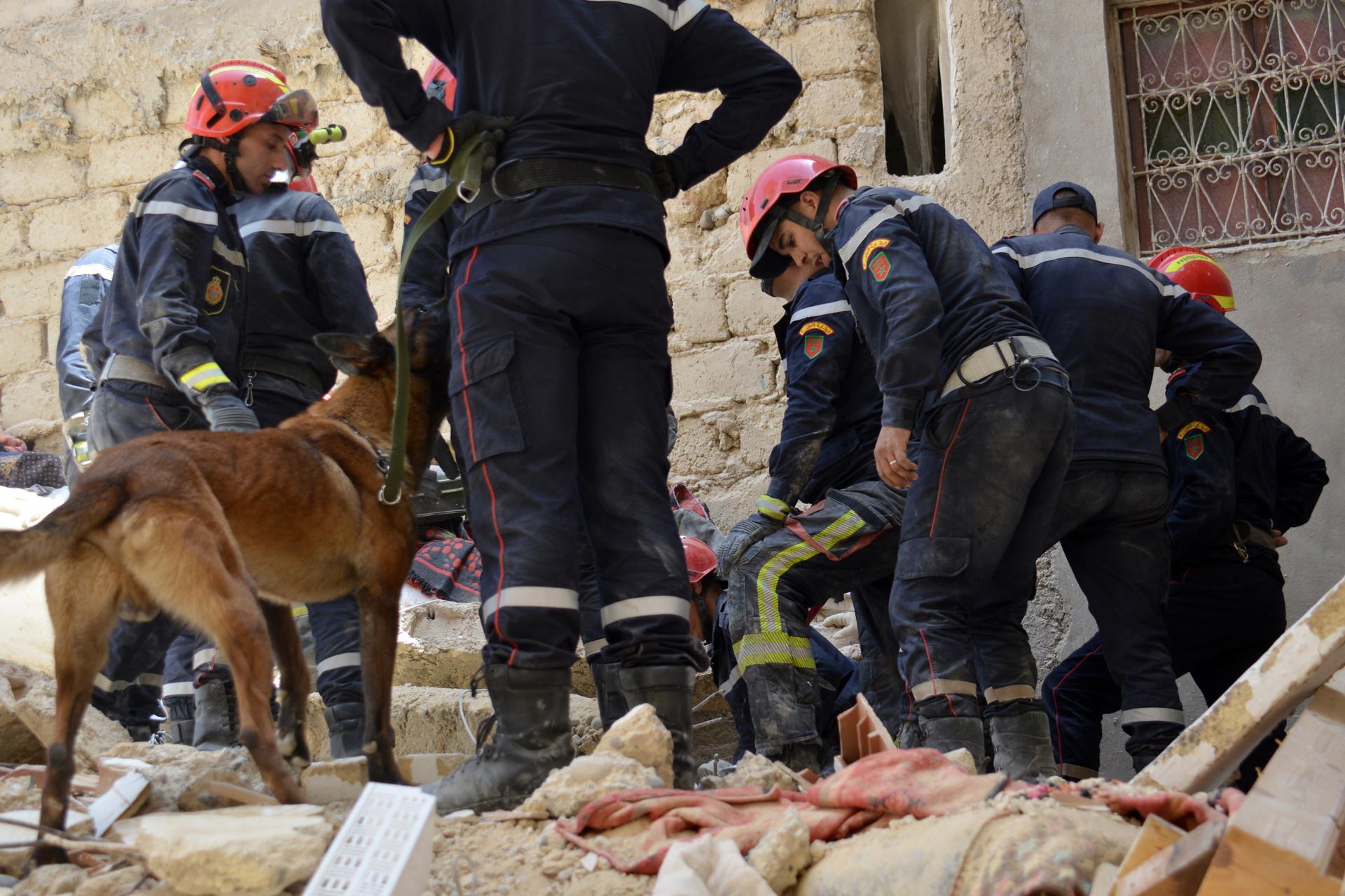 Equipos de rescate y un perro rastrean los escombros de un edificio de cuatro plantas que se derrumbó durante la noche en la ciudad marroquí de Fez, Marruecos, el 21 de mayo de 2026. Las autoridades locales confirmaron que al menos cuatro personas murieron y otras seis resultaron heridas en el incidente.. (Marruecos) EFE/EPA/ALAOUI MRANI
