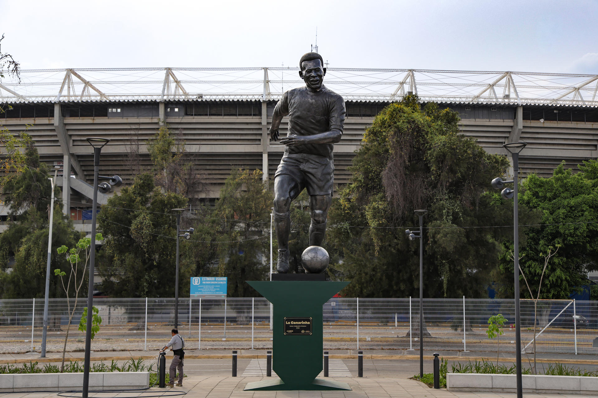 Fotografía que muestra una escultura en bronce del ex futbolista brasileño Edson Arantes do Nascimento 'Pelé' este jueves, en Guadalajara (México). EFE/ Francisco Guasco
