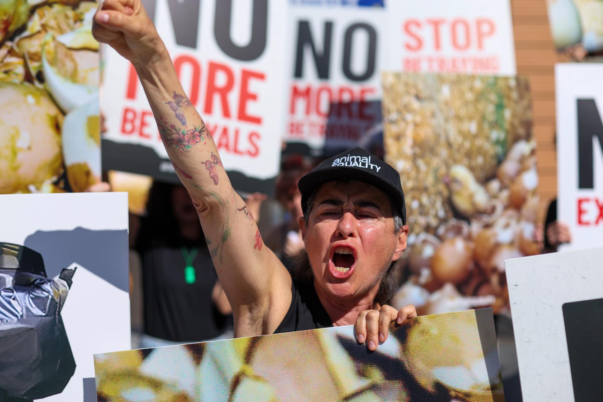 Activistas por los derechos de los animales se manifiestan durante la protesta «Marcha de los Traidores» cerca de la sede de la Comisión Europea en Bruselas. Organizada por Animal Equality, la acción criticó a la Comisión Europea por no publicar aún la revisión más amplia de las normas de bienestar animal de la UE, que según los activistas se prometió tras el apoyo público a una mayor protección en toda la Unión Europea. Los manifestantes acusaron a la Comisión Europea de no impulsar las reformas propuestas en materia de bienestar animal, incluidas las medidas relacionadas con la eliminación progresiva de las jaulas y el fin del sacrificio de pollitos machos. (Protestas, Bélgica, Bruselas) EFE/EPA/OLIVIER HOSLET
