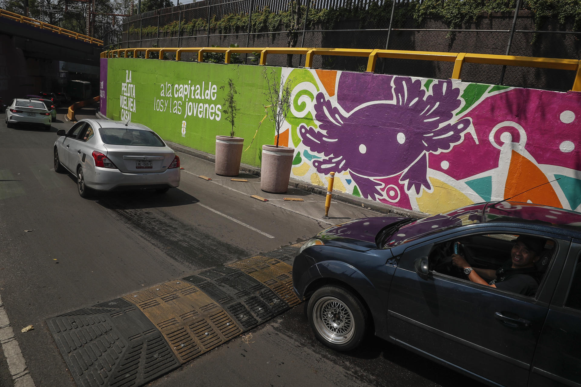 Fotografía de un muro con imágenes de ajolotes este sábado (ayer), en la Ciudad de México (México). EFE/Isaac Esquivel
