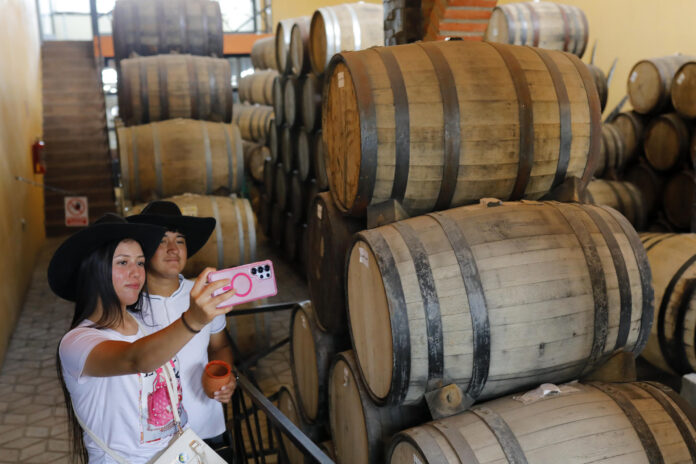Turistas visitan la cava de la destilería Don Tomás, este sábado (ayer), en el poblado de Tequila en Jalisco (México). EFE/ Francisco Guasco
