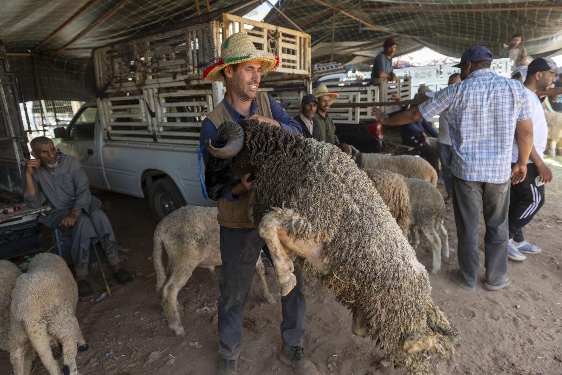 Los vendedores esperan con sus animales en un mercado de ganado para la fiesta musulmana de Aid al-Adha, en Temara, Marruecos, el 24 de mayo de 2026 (publicado el 25 de mayo de 2026). EFE/EPA/JALAL MORCHIDI

