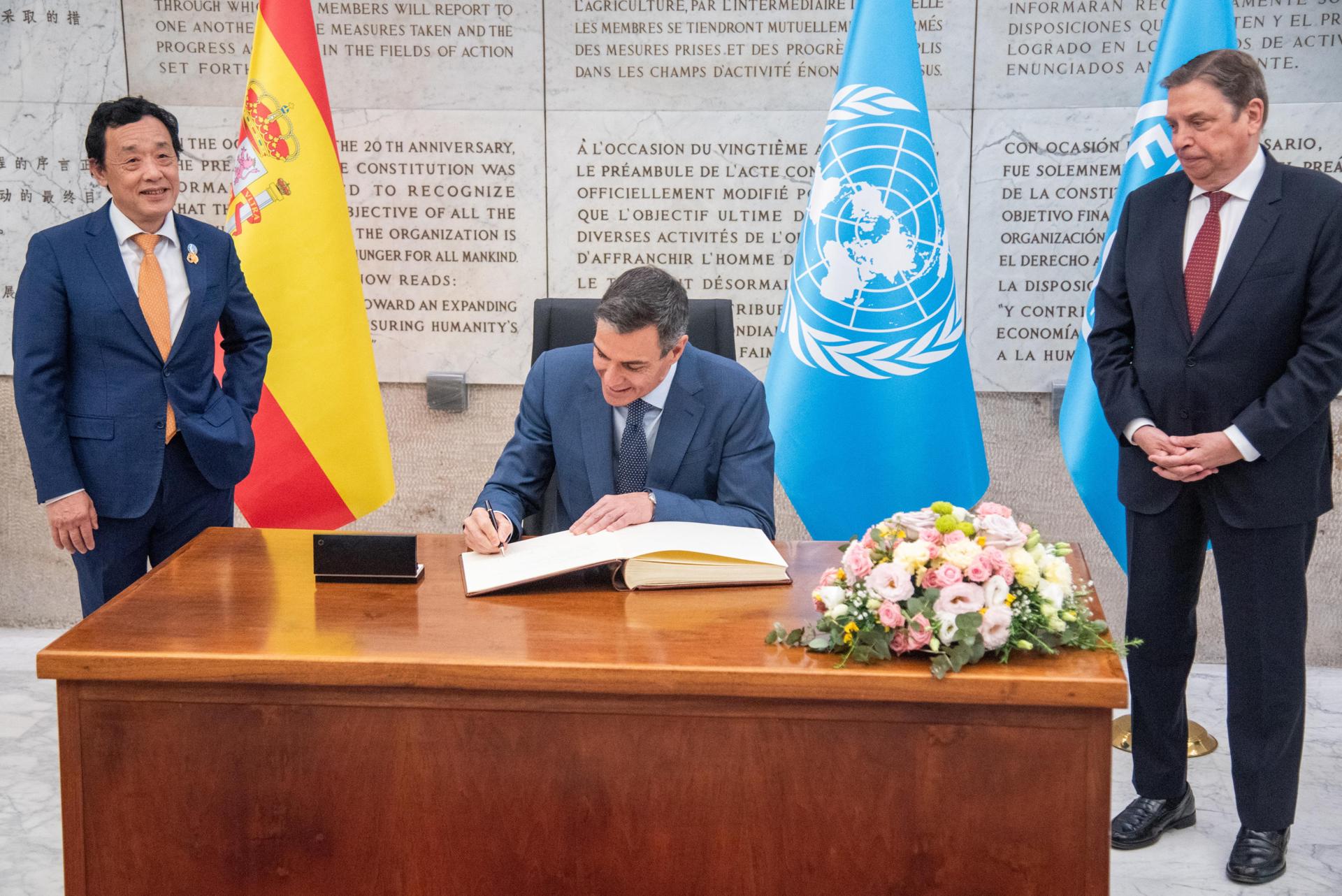 El presidente del Gobierno español Pedro Sánchez (dcha), flanqueado por el director general de la Organización de las Naciones Unidas para la Alimentación y la Agricultura (FAO), Qu Dongyu (izq), y el ministro español de Agricultura, Pesca y Alimentación, Luis Planas, firma en el libro de visitas durante una sesión especial de alto nivel titulada 'Seguridad alimentaria y nutrición bajo presión: consecuencias del conflicto de Oriente Medio' como parte de la Semana de la Nutrición de Roma, en la sede de la FAO, en Roma, Italia, el 26 de mayo de 2026. (Italia, Roma) EFE/EPA/FEDERICO PERRUOLO