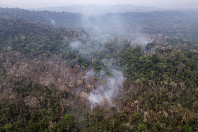 Fotografía aérea de archivo que muestra una zona quemada ilegalmente en el Parque Estatal Guajará-Mirím en Nova Mamoré (Brasil). EFE/ Isaac Fontana
