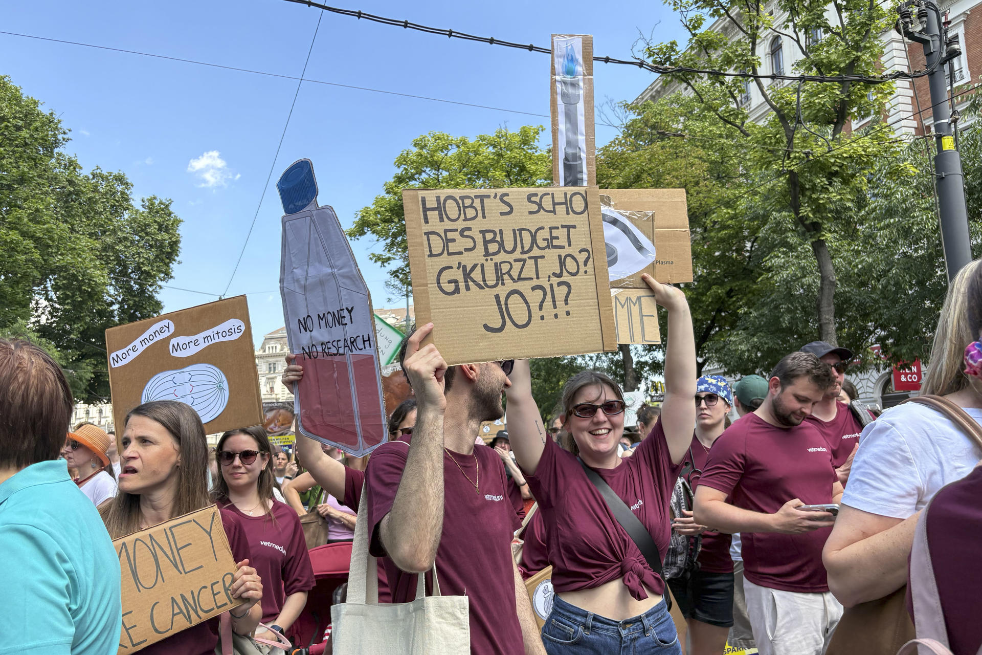 Varios miles de personas marcharon este miércoles en Viena contra los recortes en el prespuesto dedicado a las universidades austríacas.EFE/ Núria Morchón
