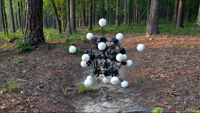 Imagen de Argus, el robot omnidireccional y multifuncional desplazándose por un bosque. Crédito: General Robotics Lab de la Universidad de Duke/SOLO USO EDITORIAL
