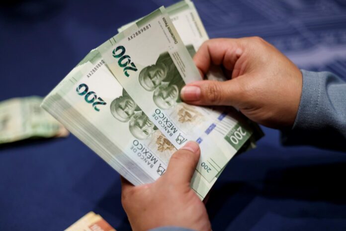 Una mujer cuenta billetes de 200 pesos en Ciudad de México (México). Imagen de archivo. EFE/ José Méndez
