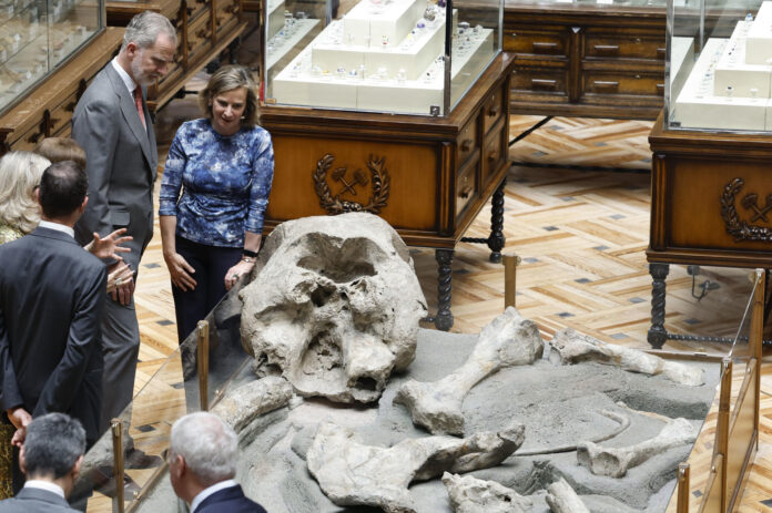 El rey Felipe VI (i) visita el Museo Geominero ubicado en el Instituto Geológico y Minero de España con motivo de su centenario. EFE/ J.J. Guillen
