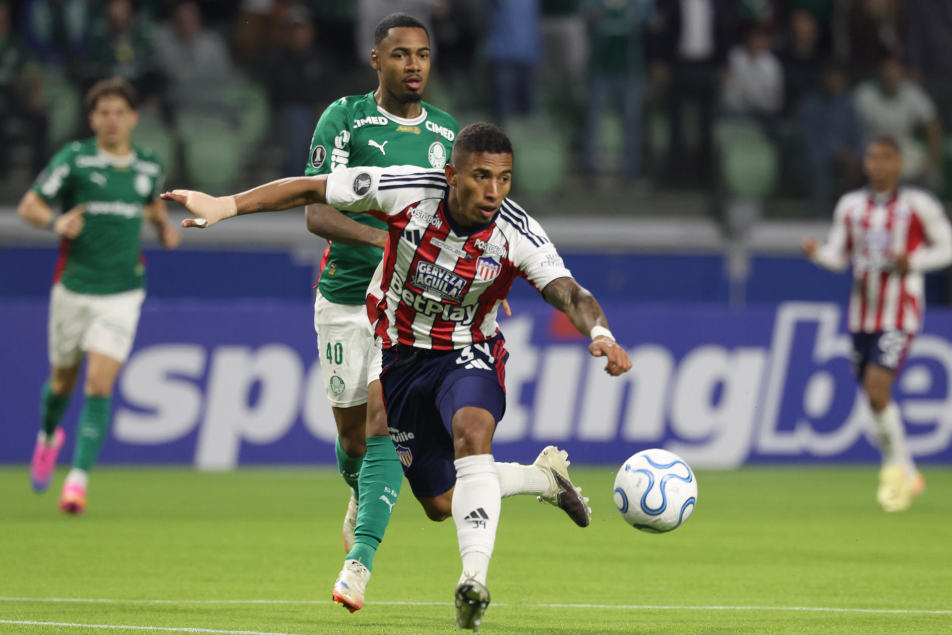 Allan (i), de Palmeiras, disputa un balón con Jhomier Guerrero, de Junior, en un partido de la fase de grupos de la Copa Libertadores entre Palmeiras y Junior en el Allianz Parque en Sao Paulo (Brasil). EFE/Sebastião Moreira
