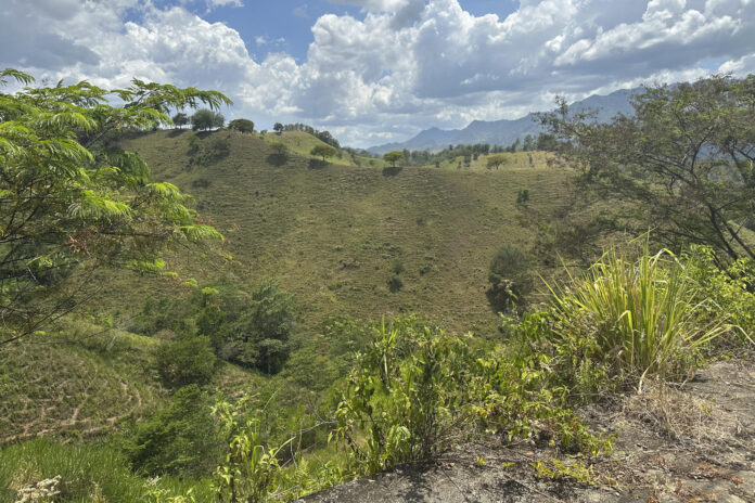 Fotografía de uno de los bosques que el ambientalista Carlos Luna protegía, en Catacamas (Honduras). EFE/ Germán Reyes
