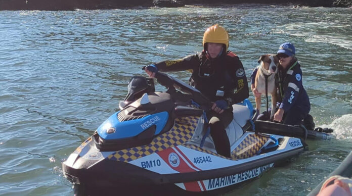 Voluntarios del servicio de rescate marítimo de Nueva Gales del Sur, en el este de Australia, rescataron a un perro que fue arrastrado por el mar tras caer desde unas rocas en una localidad costera y que logró sobrevivir al alcanzar a nado una pequeña isla. EFE/Marine Rescue NSW/SOLO USO EDITORIAL/SOLO DISPONIBLE PARA ILUSTRAR LA NOTICIA QUE ACOMPAÑA (CRÉDITO OBLIGATORIO)

