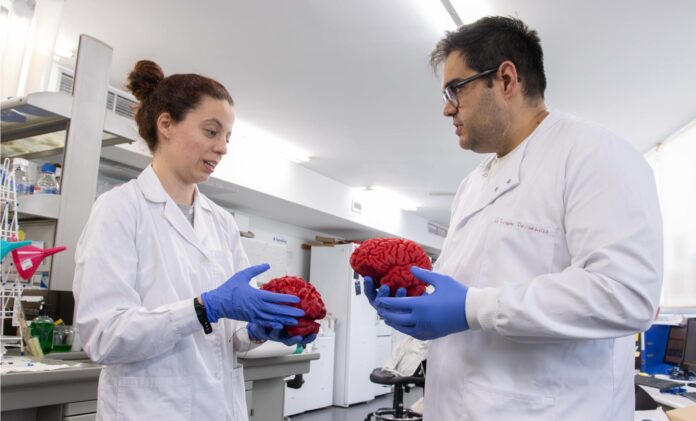 Natalia Varela Andrés, coautora principal del estudio, y Rubén Deogracias, director de la investigación de la USAL recién publicada en Molecular Psychiatry. Crédito: Raquel J. Santos (Comunicación USAL).
