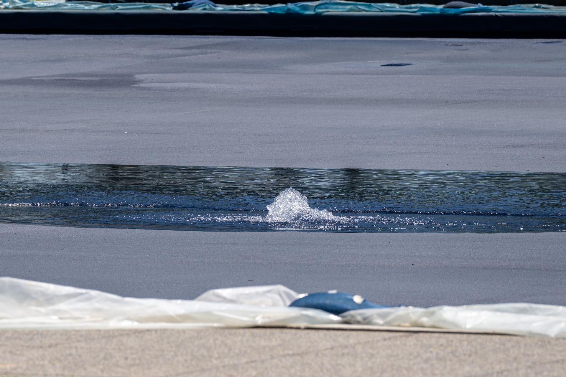 EFE/EPA/MATT KAMINSKY
