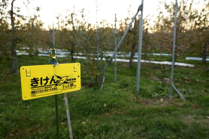 Imagen de archivo de un cartel en una cerca eléctrica que impide la entrada de osos a un huerto de manzanos en Kazuno, prefectura de Akita, noreste de Japón, el 12 de noviembre de 2025. EFE/EPA/FRANCK ROBICHON
