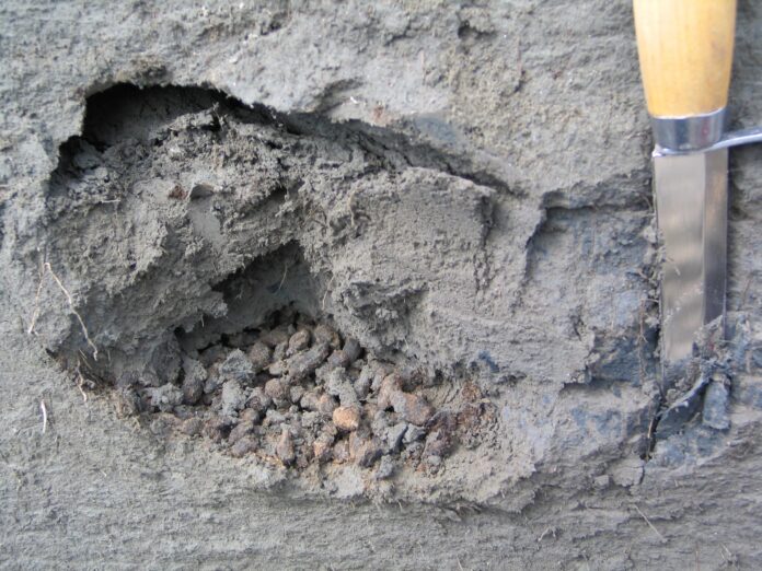 Excrementos antiguos de ardillas terrestres árticas hallados en Lower Quartz Creek, Yukón. Crédito: Duane Froese/Universidad de Alberta.
