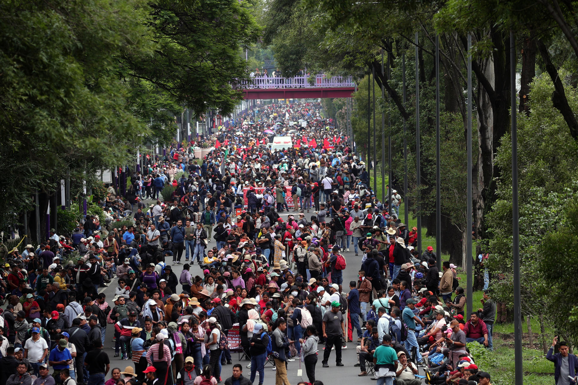 Personas se manifiestan este martes, en Ciudad de México (México). EFE/ Madla Hartz
