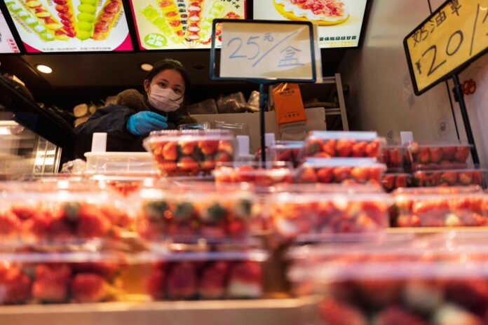 Fotografía de archivo de una vendedora de fresas en Shanghái (China). EFE/EPA/ALEX PLAVEVSKI
