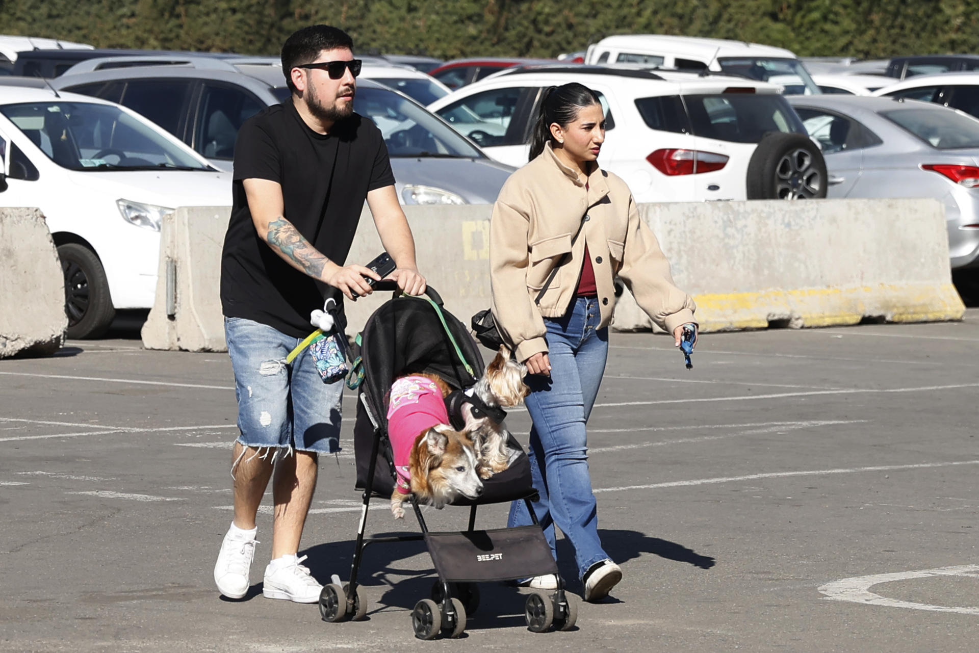 Fotografía tomada el pasado 30 de mayo en la que se captó a una pareja al caminar con un par de perros, llevados en un choche de bebés, durante la feria 'Expo Mascotas & Animales', en Santiago de Chile. EFE/Elvis González
