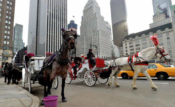 Un carruaje a caballo espera en una calle cerca al Parque Central en Nueva York (EE.UU). Imagen de archivo. EFE/JUSTIN LANE
