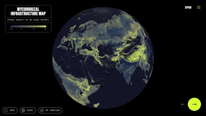 Un equipo internacional de investigadores ha elaborado el primer mapa global del 'sistema circulatorio' de la Tierra, una vasta red de hongos subterráneos -que abarca unos 110 billones de kilómetros- que son esenciales para sostener la vida y el equilibrio climático. Imagen: Moritz Stefaner/Justin Stewart (Sociedad para la Protección de las Redes Subterráneas).
