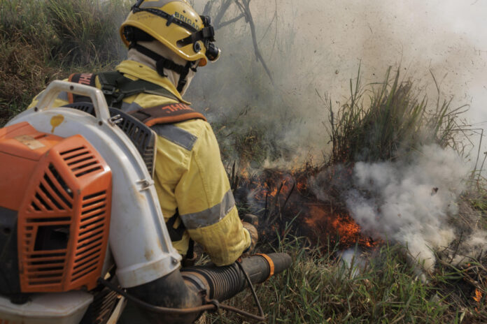 En la imagen de archivo, un bombero forestal del Instituto Chico Mendes de Conservación de la Biodiversidad (ICMBio) durante una quema controlada en un área de pastizales en Parauapebas (Brasil). EFE/Isaac Fontana
