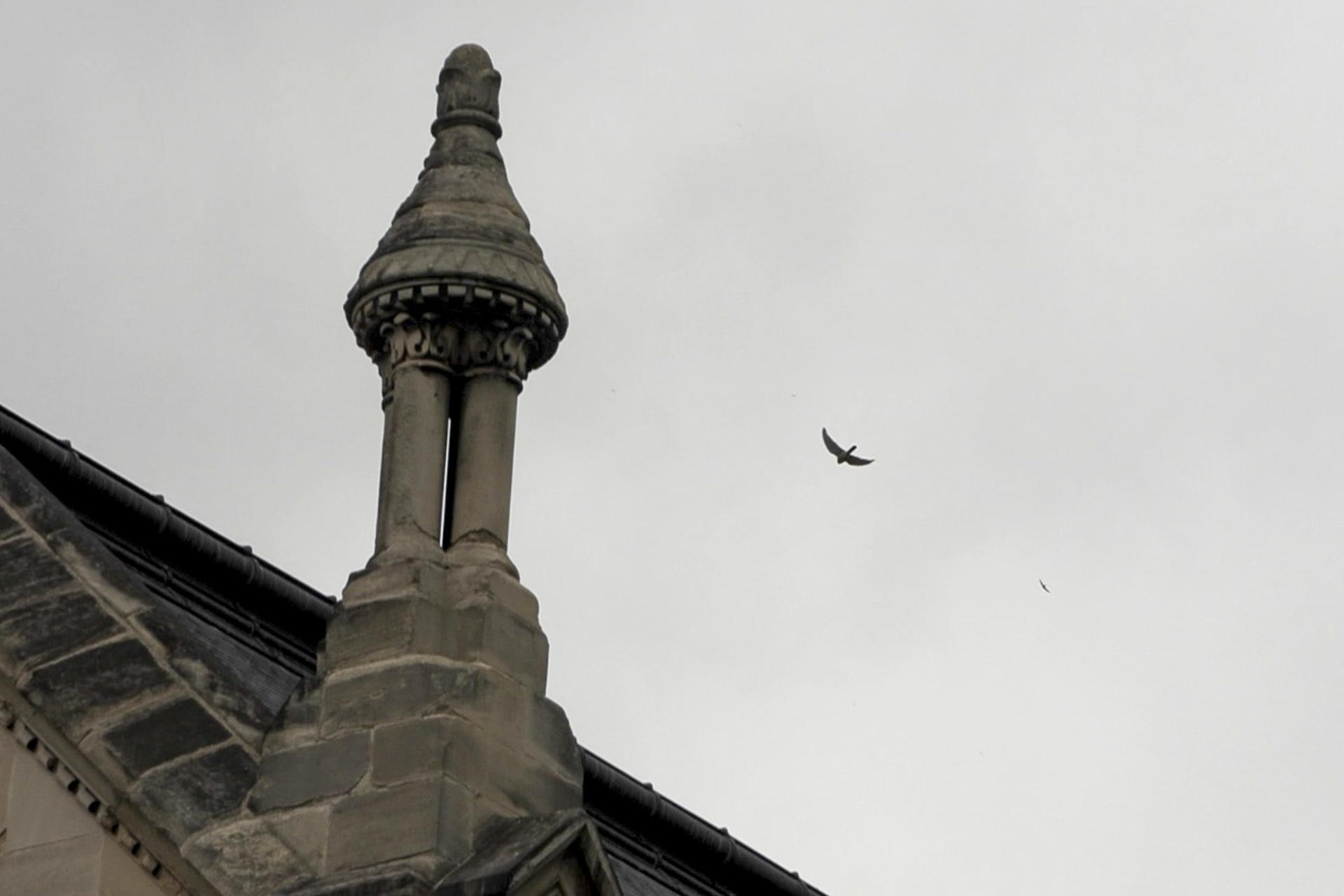 En la imagen, fachada de la iglesia decimonónica en la que han anidado dichas aves, en el barrio parisino de Ménilmontant. EFE/ Pol Lloberas Cardona
