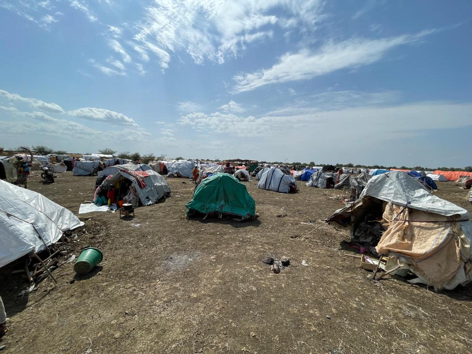 Uno de los campos de desplazados en el estado sudanés de Nilo Azul, en la frontera con Etiopía y donde más de 60.000 personas se han visto obligadas a huir de sus casas en los últimos cuatro meses debido al repunte de la violencia en Sudán. EFE/Cedidas por Plan International SOLO USO EDITORIAL/SOLO DISPONIBLE PARA ILUSTRRA LA NOTICIA QUE ACOMPAÑA (CRÉDITO OBLIGATORIO)