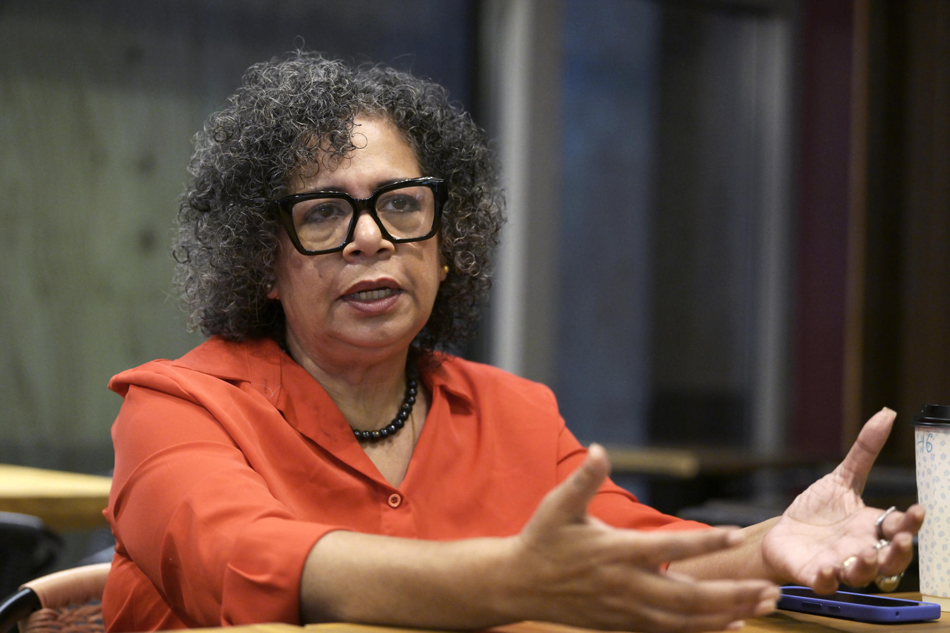 La directora y cofundadora de la franquicia de medios digitales Efecto Cocuyo, la periodista y escritora venezolana, Mely Reyes, habla durante una entrevista con EFE este viernes, en Washington (EE.UU). EFE/ Lenin Nolly
