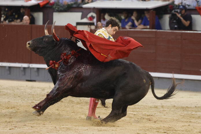 El diestro Víctor Hernández da un pase con la muleta al primero de los de su lote, durante la corrida de la Beneficencia que se celebra este domingo en la plaza de toros de Las Ventas, en Madrid. EFE/Zipi Aragón
