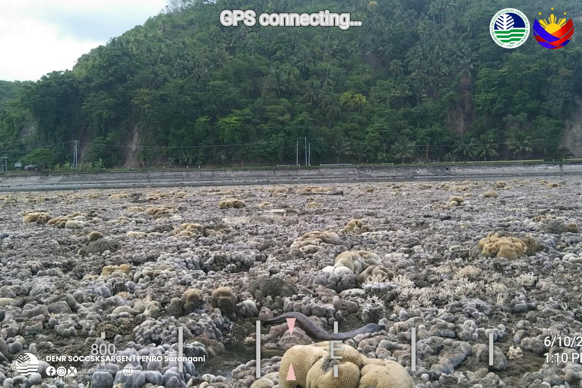 Imagen facilitada y tomada el pasado 10 de junio de una larga pradera de coral de la costa de Pangyan, en la isla de Mindanao, en el sur de Filipinas, que quedó en la superficie a raíz de que un terremoto de magnitud 7,8 elevara el lecho marino hasta dos metros e hiciera retroceder unos 200 metros el litoral. EFE/ Departamento Filipino de Medioambiente y Recursos Naturales. de Filipinas SOLO USO EDITORIAL/SOLO DISPONIBLE PARA ILUSTRAR LA NOTICIA QUE ACOMPAÑA (CRÉDITO OBLIGATORIO)