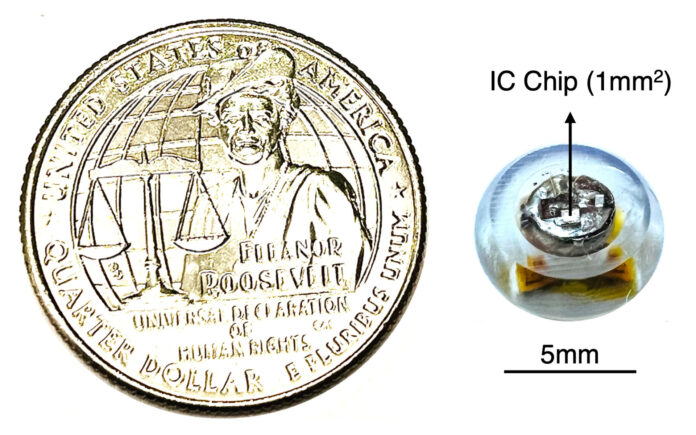 Un equipo de investigadores del Instituto de Tecnología de Massachusetts (MIT) ha desarrollado un sensor ingerible del tamaño de un arándano diminuto para medir en tiempo real y con precisión la temperatura corporal. Fotografía cedida por el MIT.
