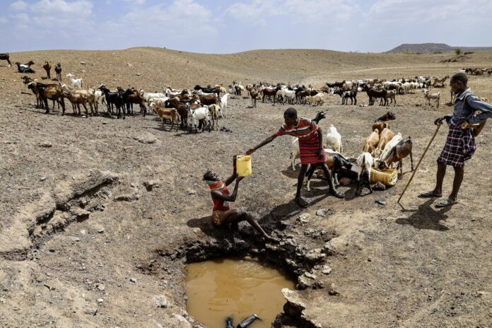 Una joven saca agua para su rebaño de cabras de un pozo cavado en un charco seco en la aldea de Lopii, en Turkana Este, en Kenia, en una imagen de archivo de febrero pasado. EFE/EPA/DANIEL IRUNGU
