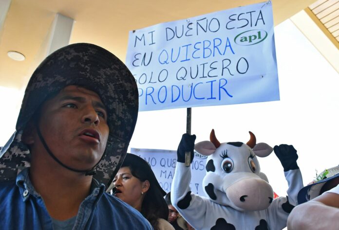 Productores de leche protestan para exigir el fin de los bloqueos de carreteras en el país este miércoles, en el Aeropuerto Jorge Wilstermann en Cochabamba (Bolivia). EFE/Jorge Ábrego
