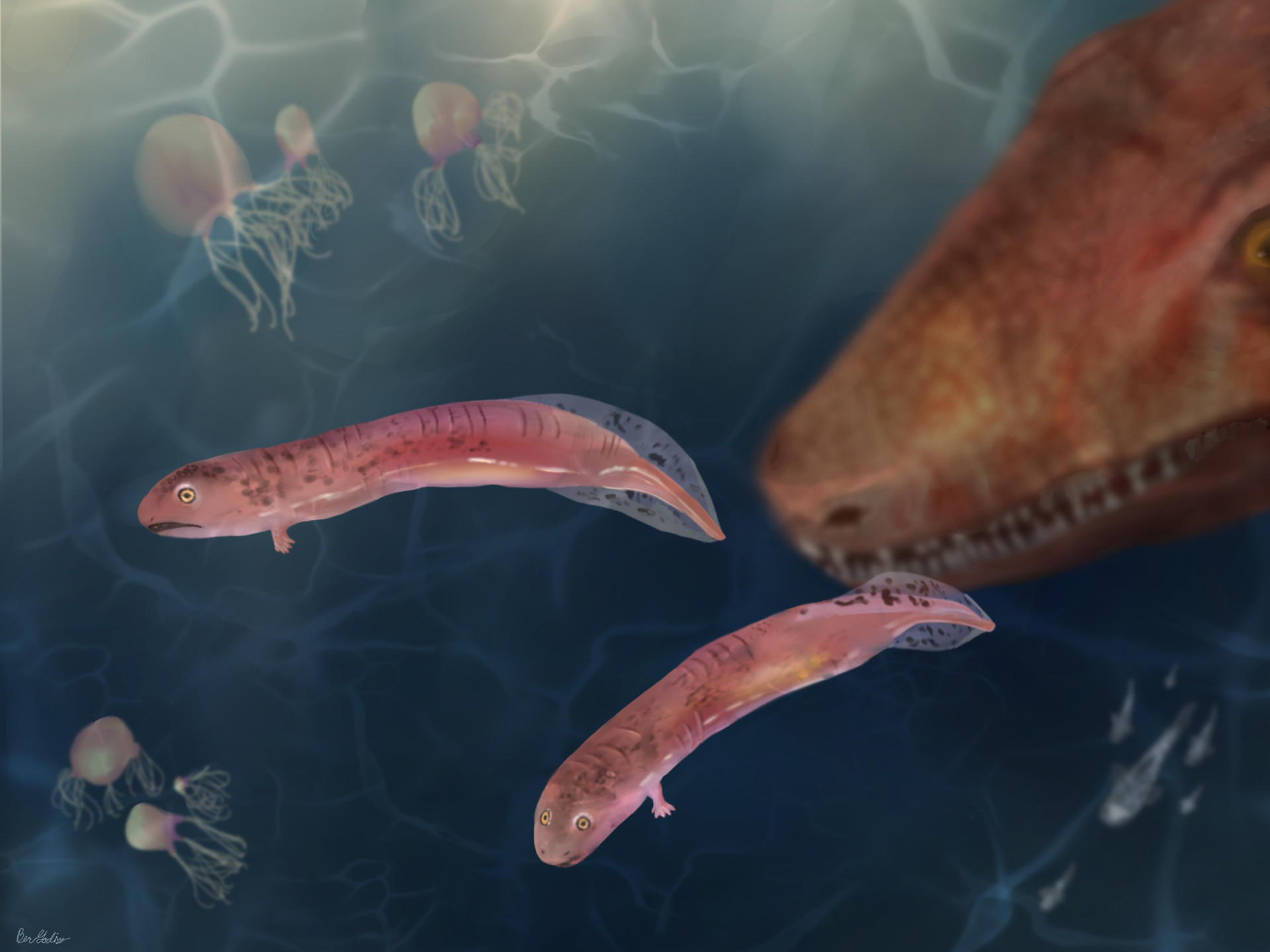 En la ilustración aparecen crías de embolómeros, antepasados de los cocodrilos. Ilustración cedida por Berit Goding.
