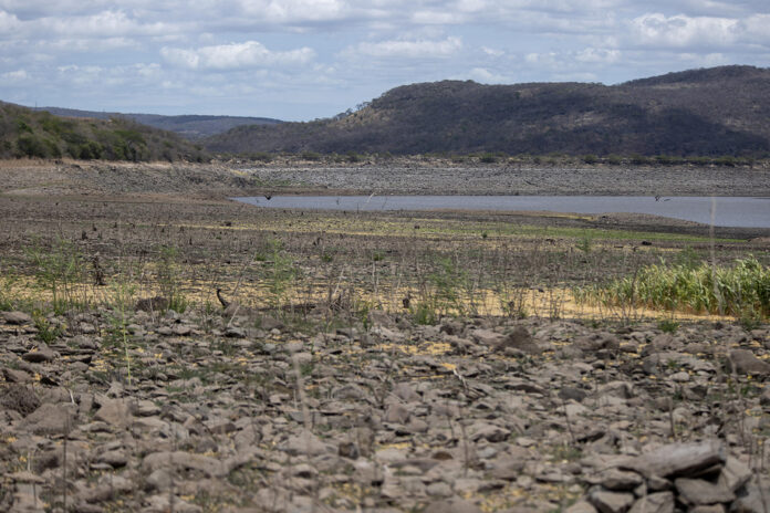 Efectos de la sequía en una represa en Teustepe (Nicaragua), en una imagen de mayo pasado. EFE/ STR
