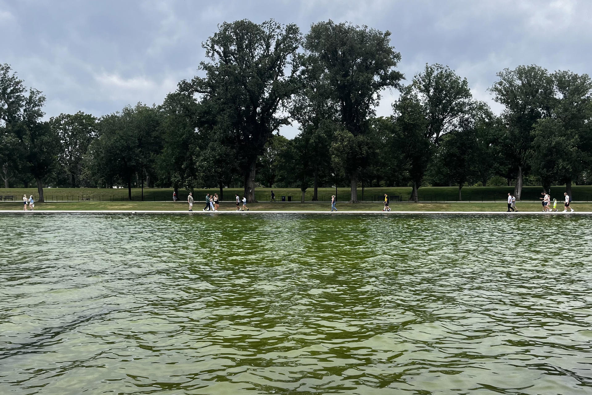 Vista general, este 18 de junio, de un sector del famoso estanque reflectante de la capital estadounidense, que ha vuelto a teñirse de verde por la repoblación de algas acuáticas, en Washington DC (EE.UU.). EFE/Leonor Trinidad