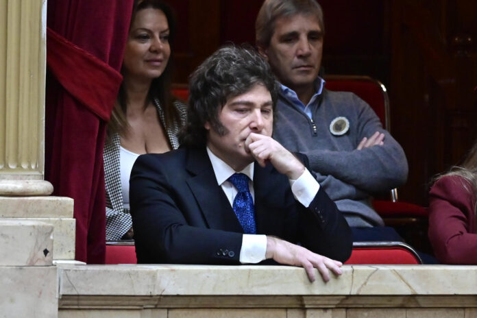 Fotografía de archivo del presidente de Argentina, Javier Milei, en Buenos Aires (Argentina). EFE/Matías Martin Campaya
