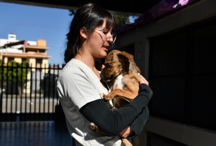 Una médico veterinaria fue captada el pasado 19 de junio al consentir un perro en la Clínica Veterinaria Municipal de Cochabamba (Bolivia). EFE/Jorge Ábrego
